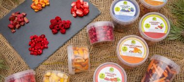 Liofilizētu produktu ražotne “Zaļā vaļā”
